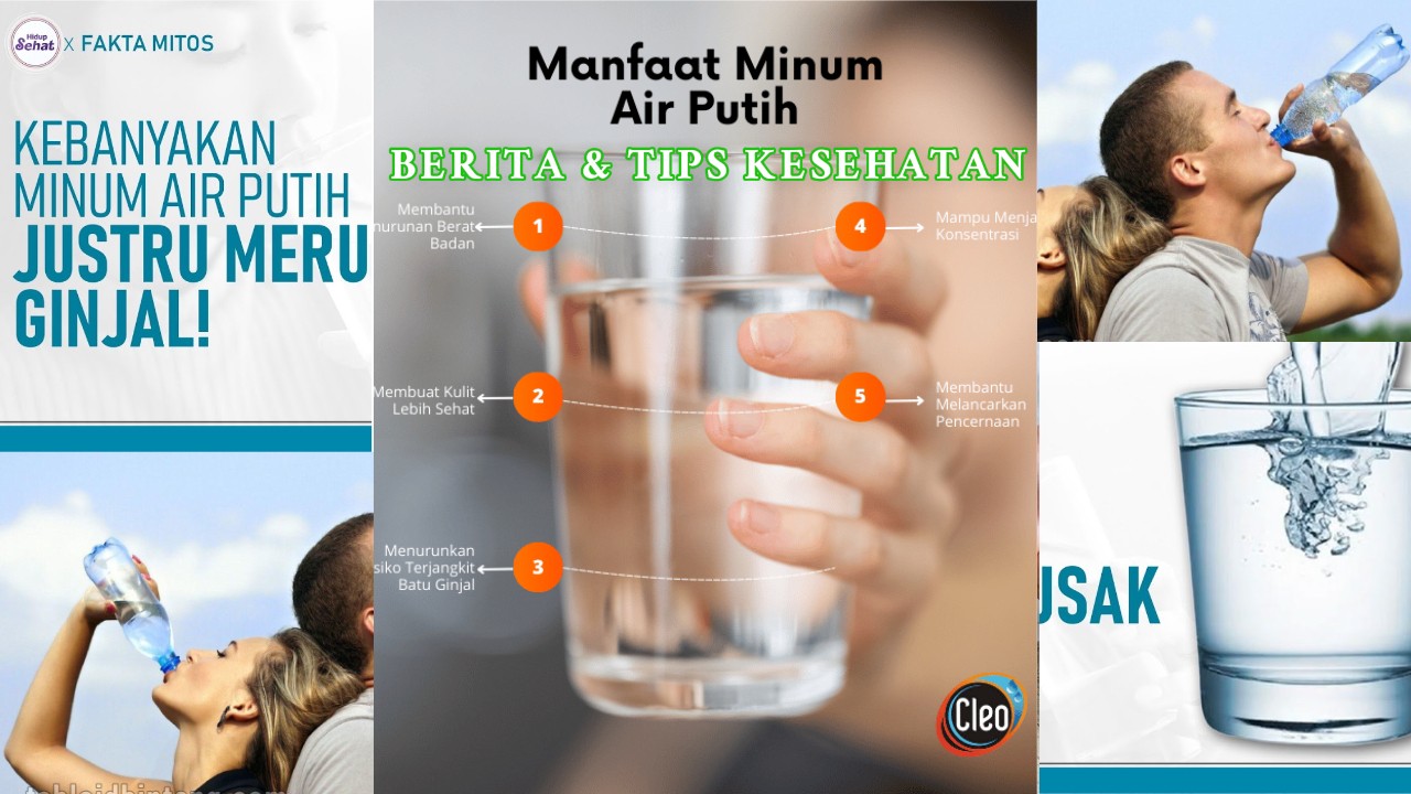 Fakta di Balik Isu Minum Air Putih Berlebihan Merusak Ginjal