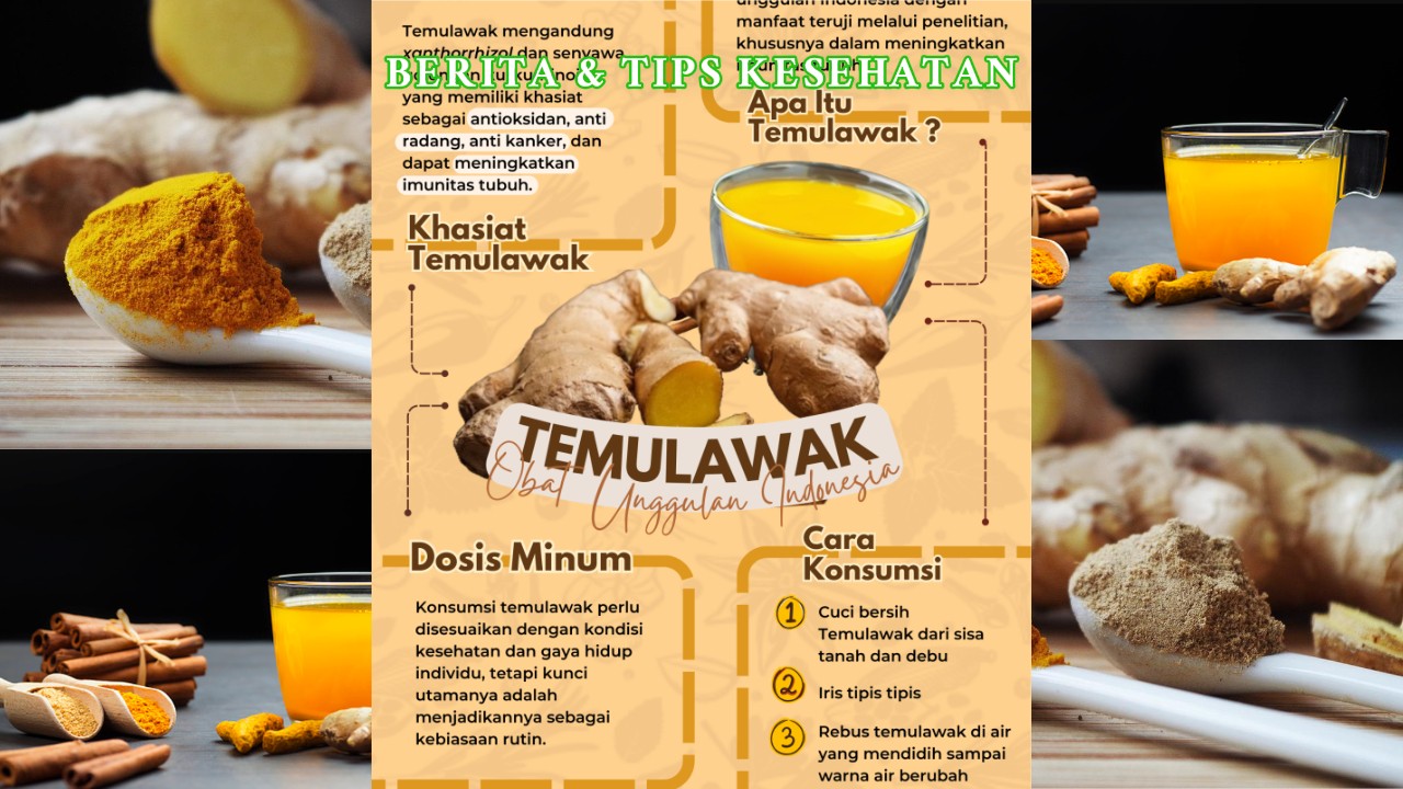 Khasiat Temulawak dan Cara Praktis Membuat Minuman Sehat