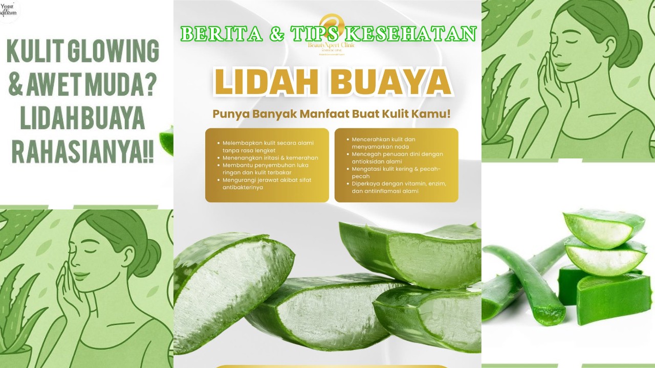 Rahasia Sehat Kulit dengan Lidah Buaya