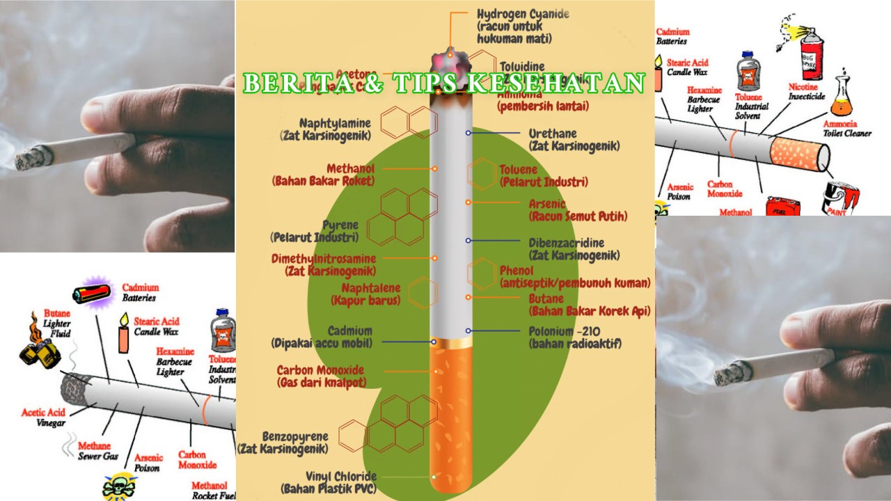 Sejarah Nikotin dan Dampaknya bagi Kesehatan Tubuh