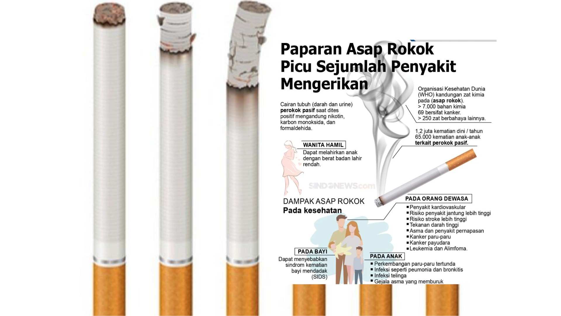 Bahaya Rokok Pembakaran Picu Penyakit Serius pada Tubuh