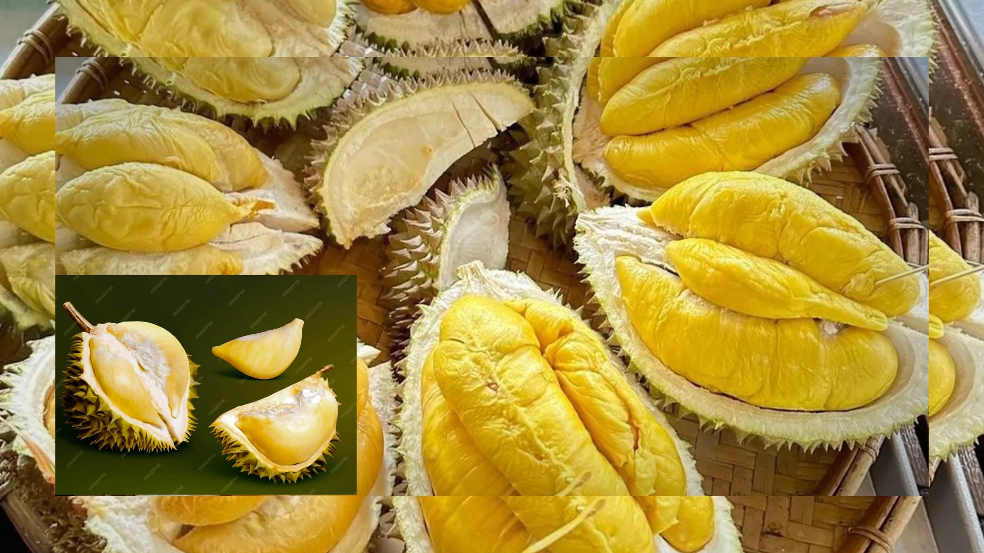 Malaysia Dorong Durian Jadi Ikon Nasional dan Pilihan Sehat