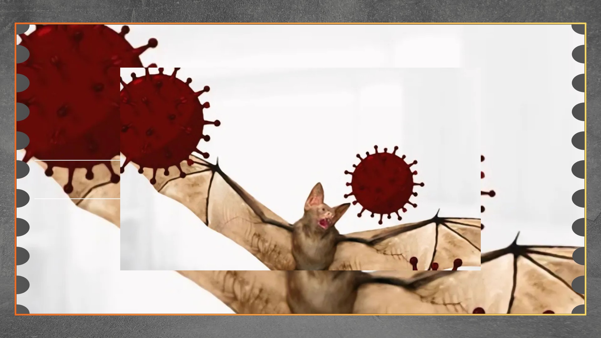 Waspada Virus Nipah, Penyakit Zoonosis Mematikan